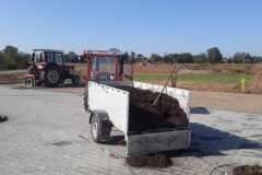 KW40-S-Gaul-4