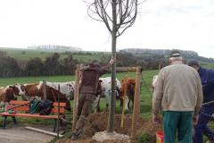 Lucas-Linde28-11-2020-30