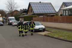 Karnevalszug-2020-8