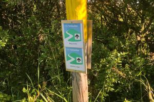 Markierung des kurzen Rundwanderweges um das Naturschutzgebiet Bürvenicher Berg 10.06.2023