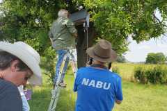 Nabu-1
