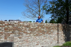 Friedhofsmauer07.05.2016-11