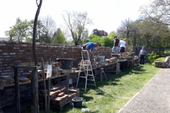 Friedhofsmauer07.05.2016-2