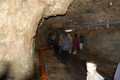Orstbegehung-121
