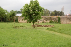 Orstbegehung-27