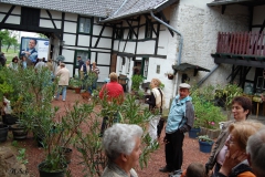 Orstbegehung-44