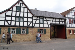 Orstbegehung-51