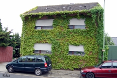 Orstbegehung-53