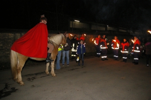Sankt Martin 2014