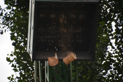 Königsschießen23.07-14