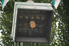 Königsschießen23.07-4