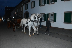 Montag-Parade-85