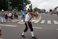 Sonntag-Zug-288
