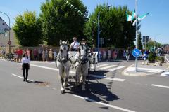 Sonntag-Zug-010