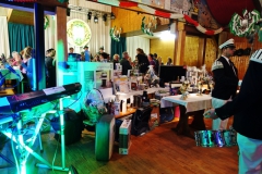 Sebastianus2016MG-35