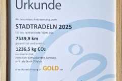 WhatsApp-Image-2025-10-20-at-11.37.39