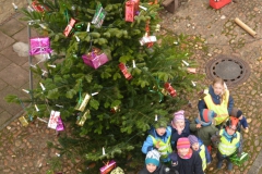 Tannenbaum-2017-1
