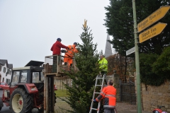 Tannenbaum-2017-10