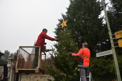 Tannenbaum-2017-13