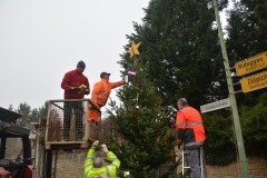 Tannenbaum-2017-15