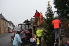 Tannenbaum-2017-16