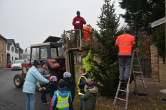 Tannenbaum-2017-18