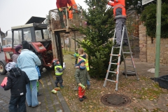 Tannenbaum-2017-19