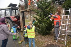 Tannenbaum-2017-20