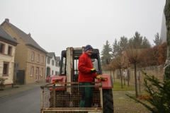 Tannenbaum-2017-5
