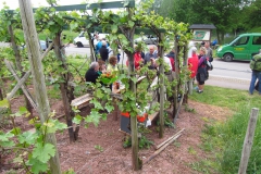Trier2015-AQ-109
