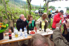 Trier2015-AQ-110