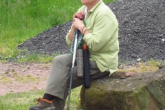 Trier2015-AQ-113