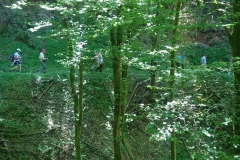 Trierwallfahrt-2017-70