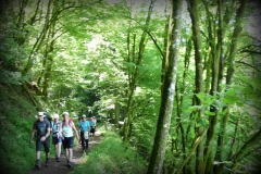 Trierwallfahrt-2017-78