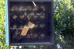 König-der-Könige15.07-22