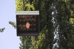 König-der-Könige15.07-30