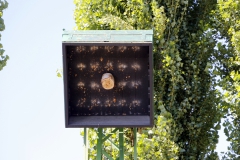 Zugpokalsch.15.07-2